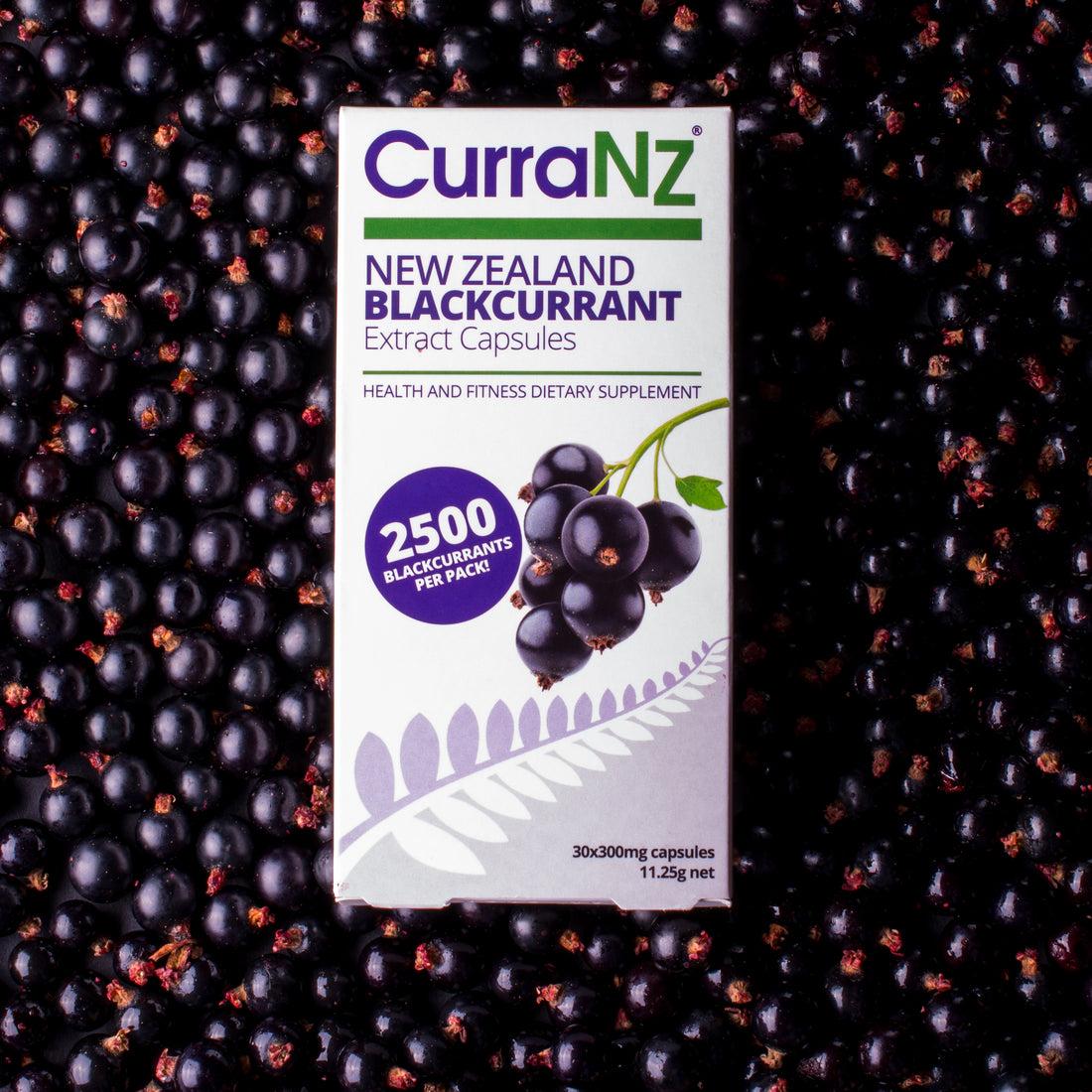 It's official! NZ blackcurrants are now the world's most researched berry, with CurraNZ leading the charge